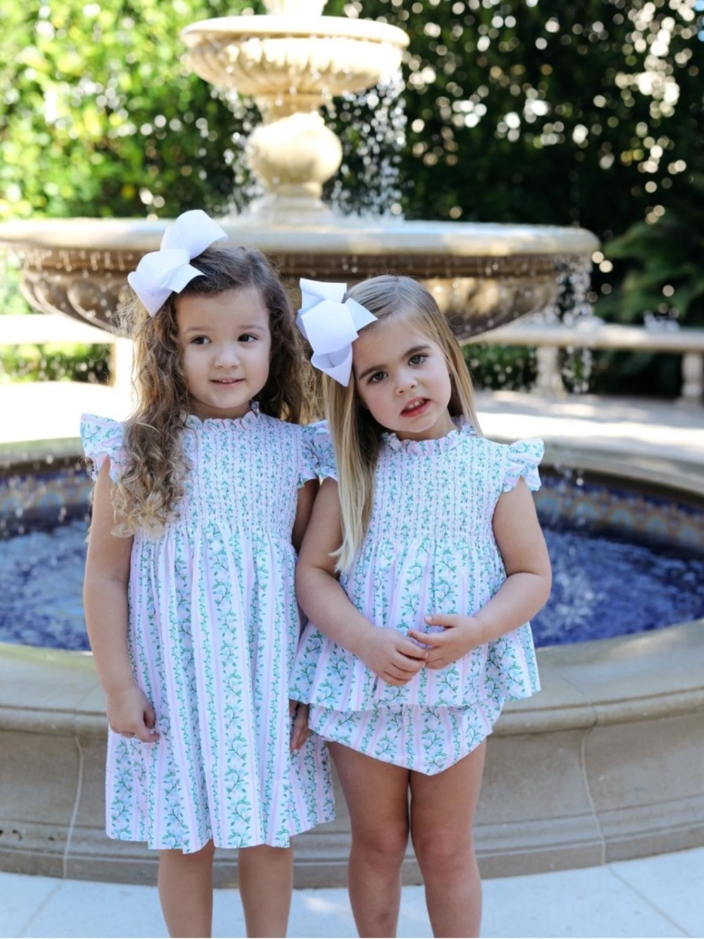Cecil and Lou Green And Pink
Floral Vines
Smocked Dress Sibling Matching 3T & 8